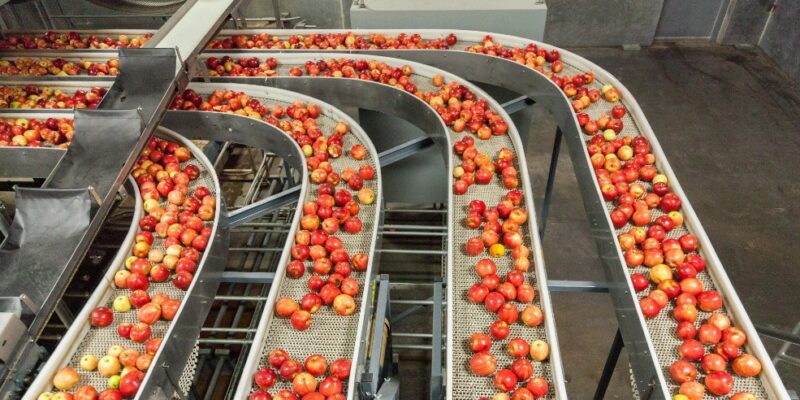 Food Manuf Tomatoes